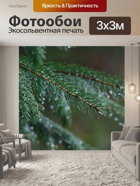 Фотообои Сосна