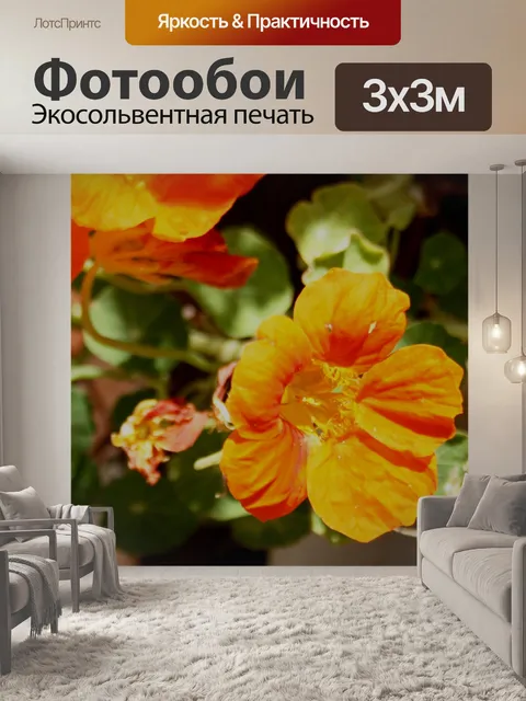 Фотообои настурция