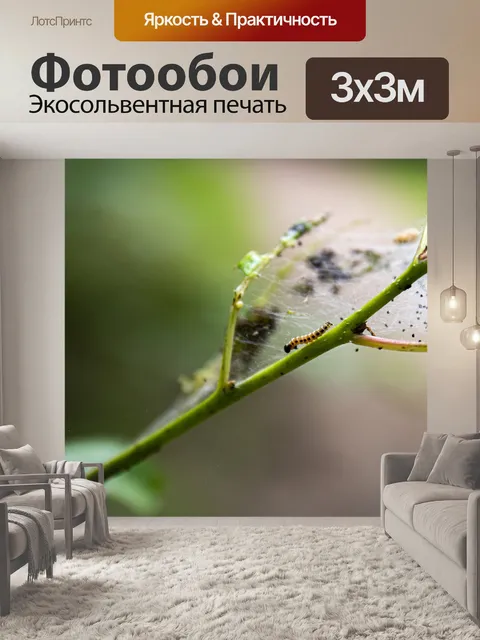 Фотообои Processierups