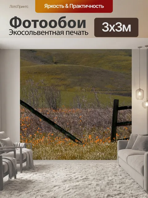 Фотообои Поле оранжевых цветов