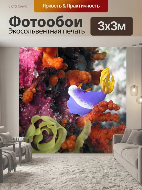 Фотообои Индонезия