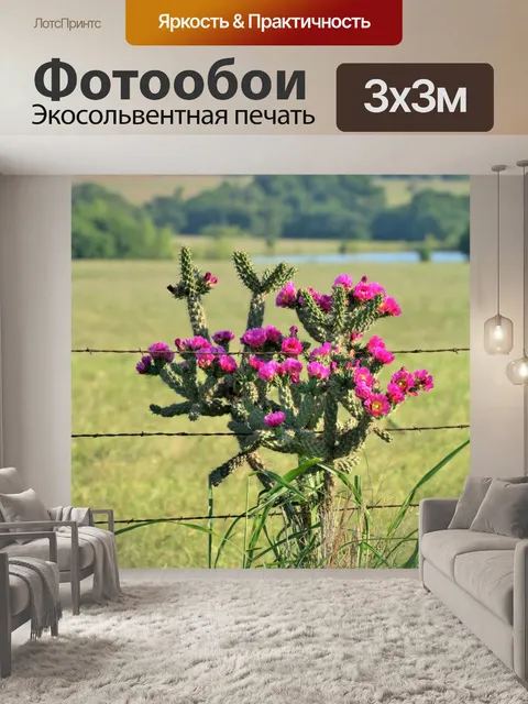 Фотообои Выносливое дерево Cholla Кактус