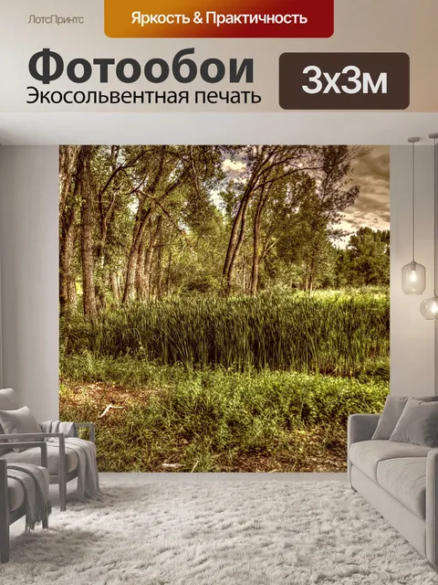 Фотообои Осенний лес