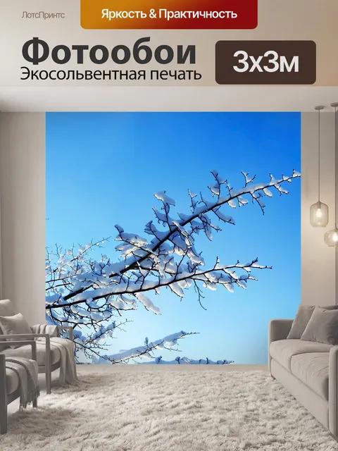 Фотообои Зимние отделение 2