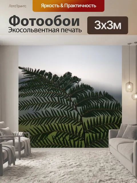 Фотообои кончик листа папоротника против света
