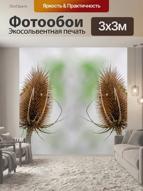 Фотообои Чертополох, сушеный