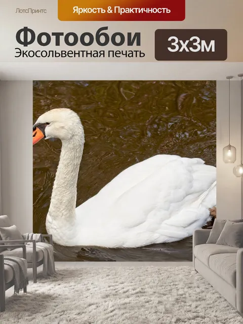 Фотообои Лебедь