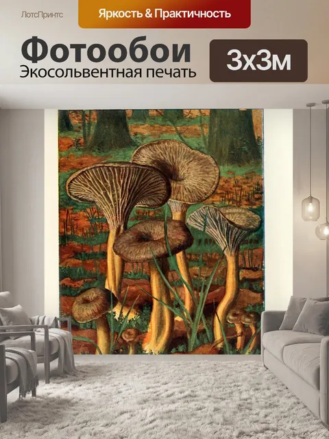 Фотообои Грибы век винтаж старый