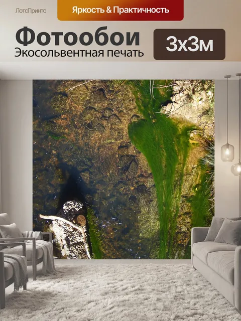 Фотообои ярко-зеленые водоросли в чистой воде