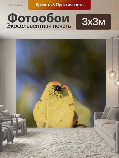 Фотообои Летать