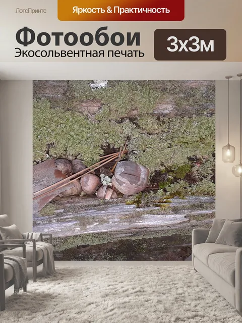 Фотообои Старое упавшее дерево с мхом