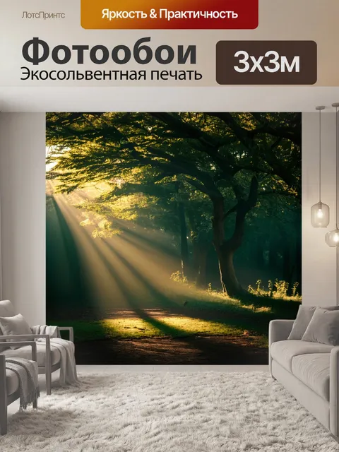 Фотообои англия, волшебный лес с нависающими деревьями, где свет пробивается между ветвями, создавая таинственный свет