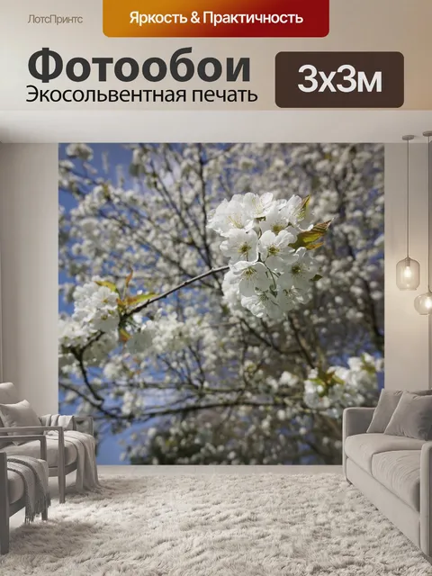 Фотообои Вишня