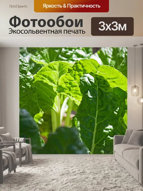 Фотообои солнечный свет на зеленых листьях шпинат
