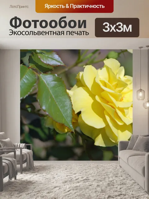 Фотообои Желтая роза