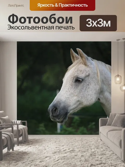 Фотообои Лошадь