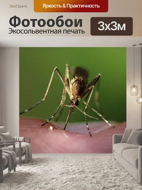 Фотообои Комар