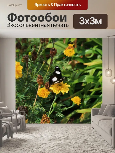 Фотообои Желтые бархатцы и бабочка