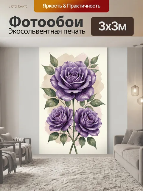 300 × 300 см · Экосольвентная печать