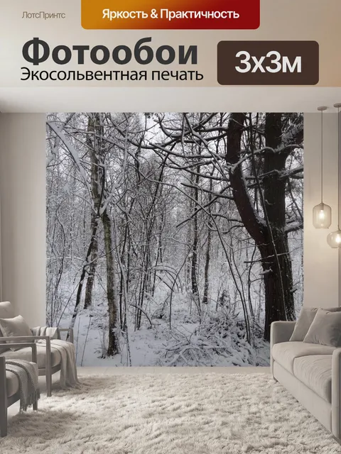 Фотообои Лес, Польша