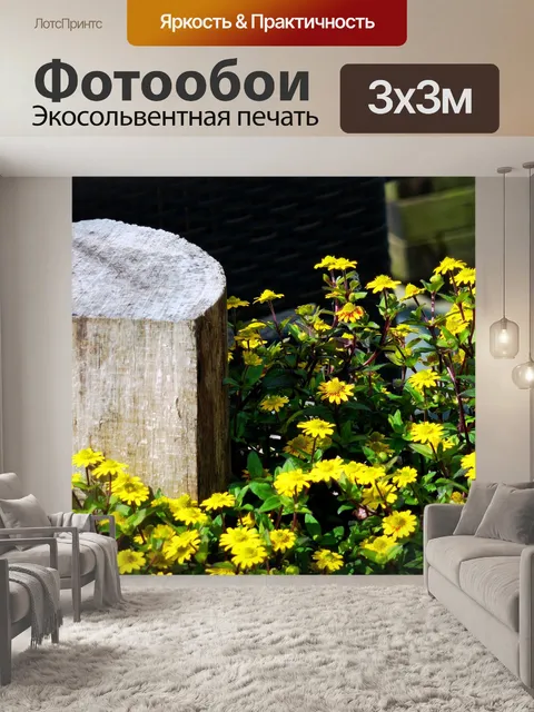 Фотообои Расцветает