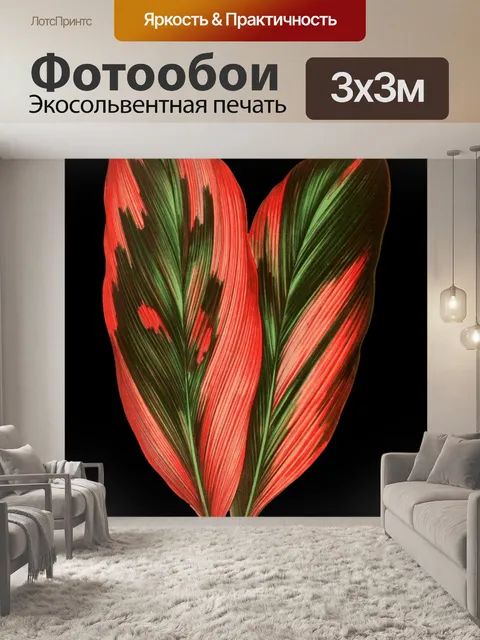 Фотообои Листья растений изолированные Винтаж