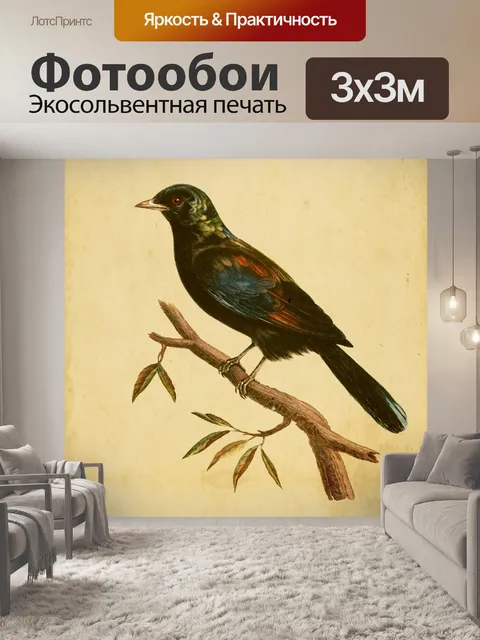 Фотообои Скворец Винтажное Искусство Птицы