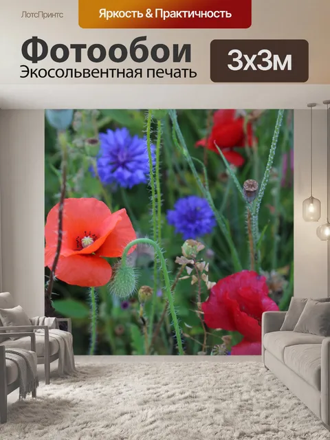 Фотообои Красочные полевые цветы Красные маки