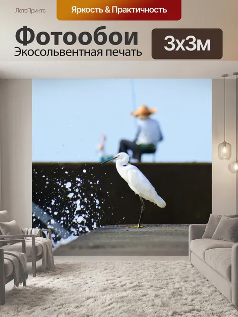 Фотообои Животное