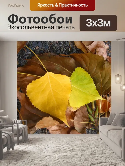 Фотообои Березовый лист