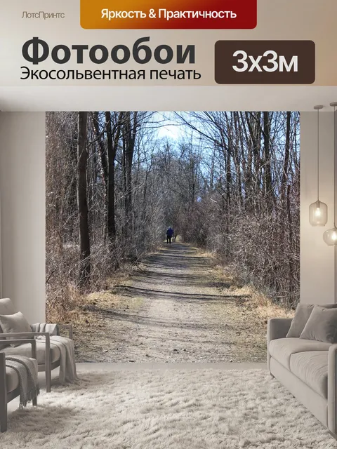 Фотообои Дорога
