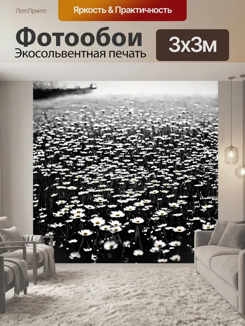 Фотообои на рассвете поле ромашек словно одеяло из белоснежных лепестков, сверкающих от раннего солнечного света