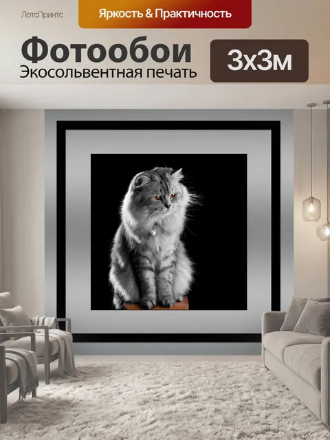 Фотообои Кошачья серая пушистая рамка