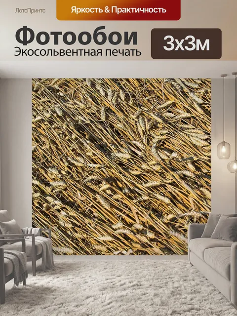 Фотообои Пшеница