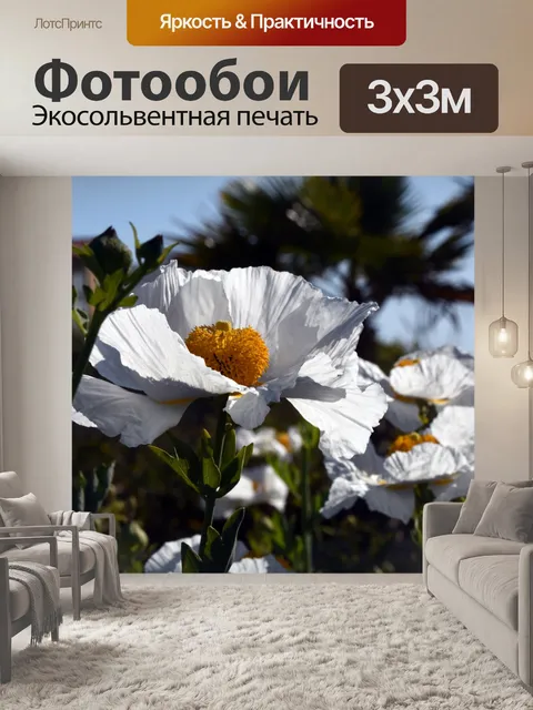 Фотообои Матилия Маки