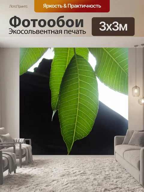 Фотообои Зеленый лист