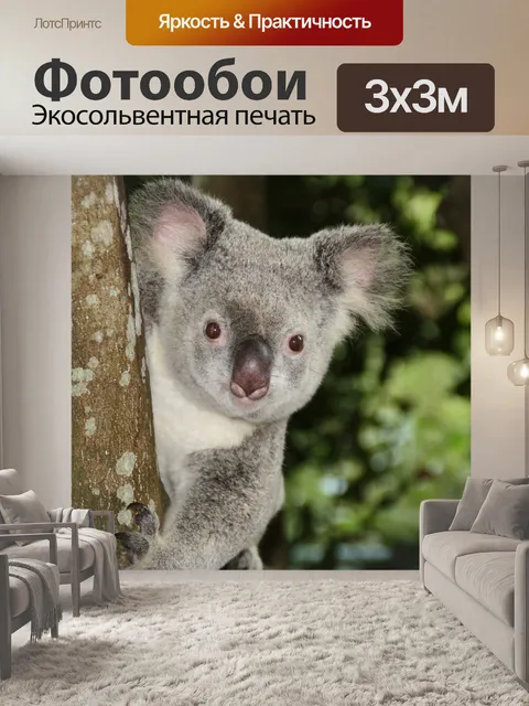 Фотообои Австралия