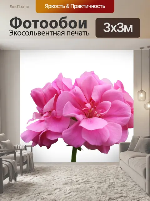 Фотообои Герань