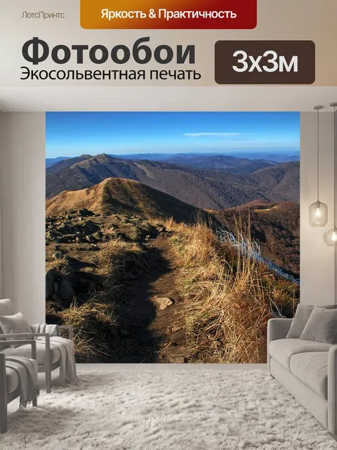 Фотообои Вид