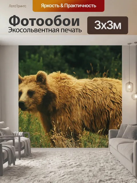 Фотообои Нести