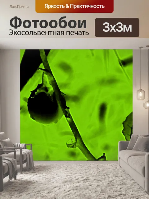 Фотообои абстрактный образ горького яблока