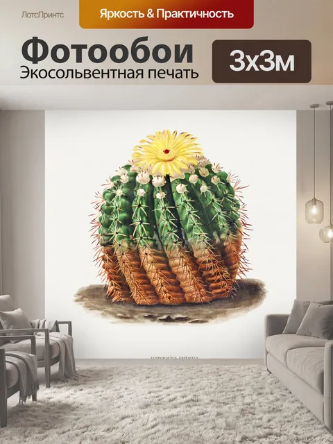 Фотообои Кактус винтаж искусство старый