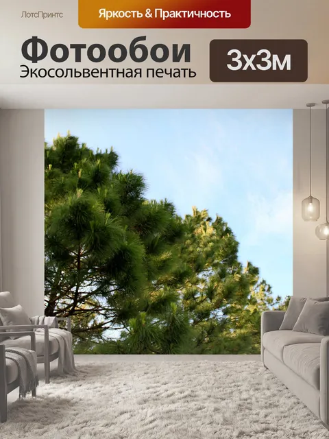 Фотообои Природа соснового леса в Фу Руа