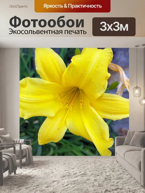 Фотообои желтый цветок лилии