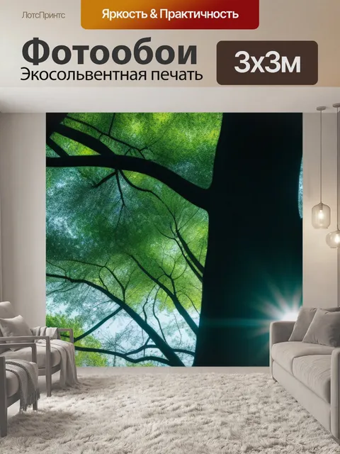 Фотообои солнце, пробивающееся сквозь деревья