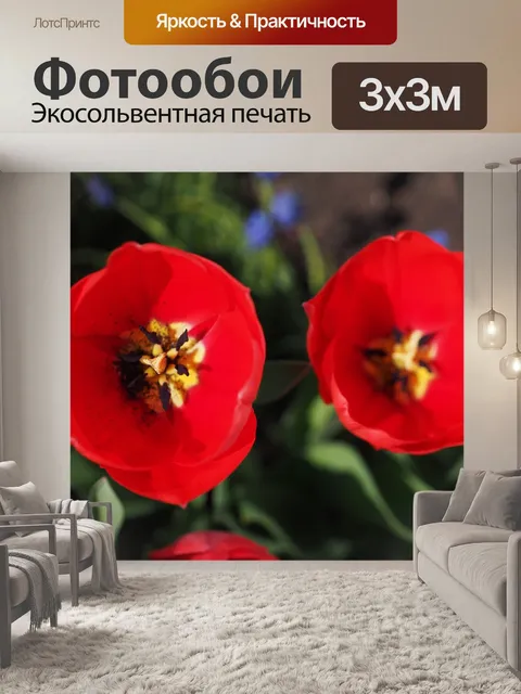 Фотообои Тюльпаны