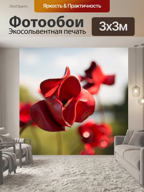 Фотообои Почтить память жертв, красные маки