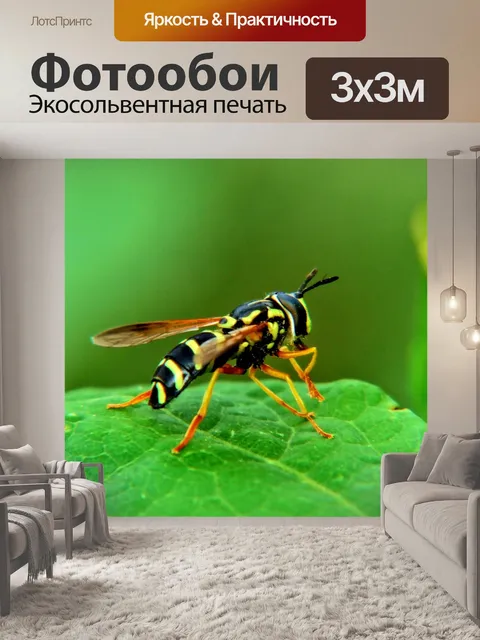 Фотообои Макрос