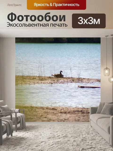 Фотообои Гусь