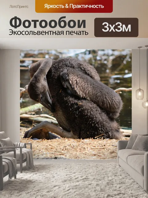 Фотообои Розовый пеликан 03